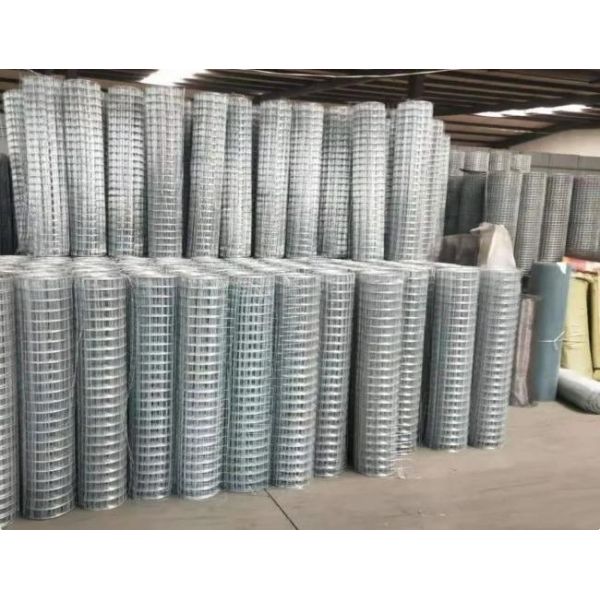 Высокая стойкость гальванизировала сваренную сетку Rolls для поднимать птицы