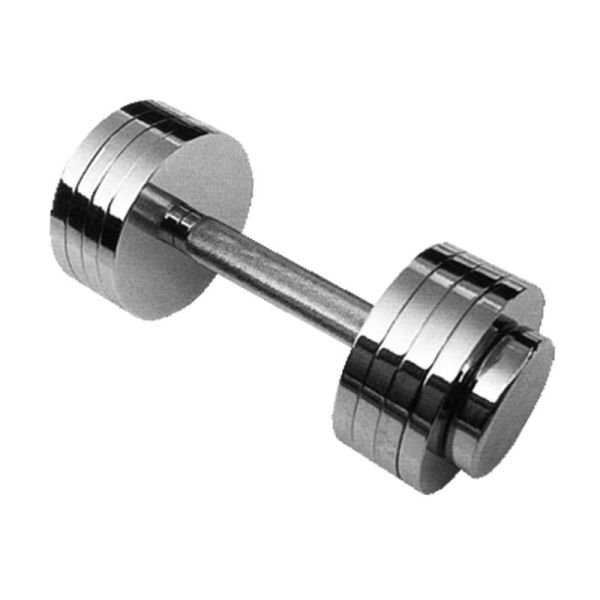Home Stainless Steel Dumbbell Set Rotate Chrome 20kg Gymnasium Iron