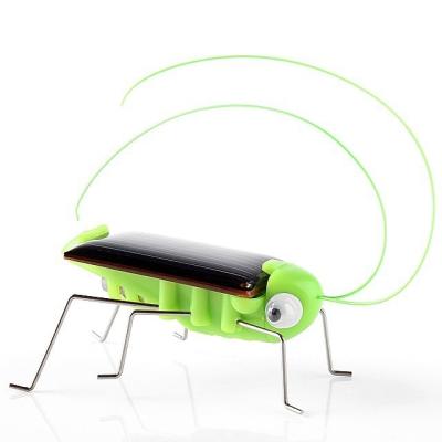 ECO Friendly Green Solar Powered Grasshopper For Kids Customized Logo