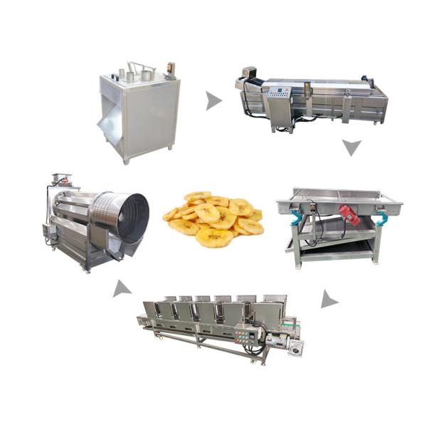 Máquina e linha de produção de batatas fritas de banana de 800 kg para produção de batatas fritas em larga escala