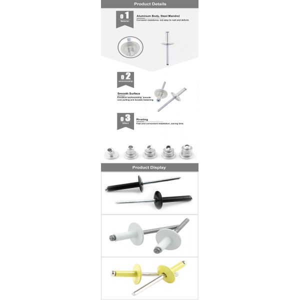 BSW Stainless Steel Solid Rivets Cone Head Blind Pop Rivet With Groove