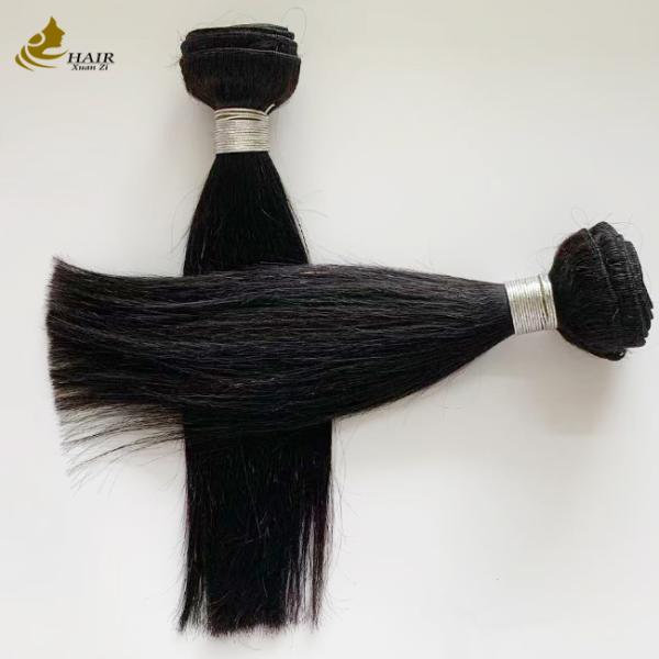 2 Pieces 10inch Hair Bundles And HD 2*6 Hair Closure Virgin Human Hair Natural Black Straight Hair Weft