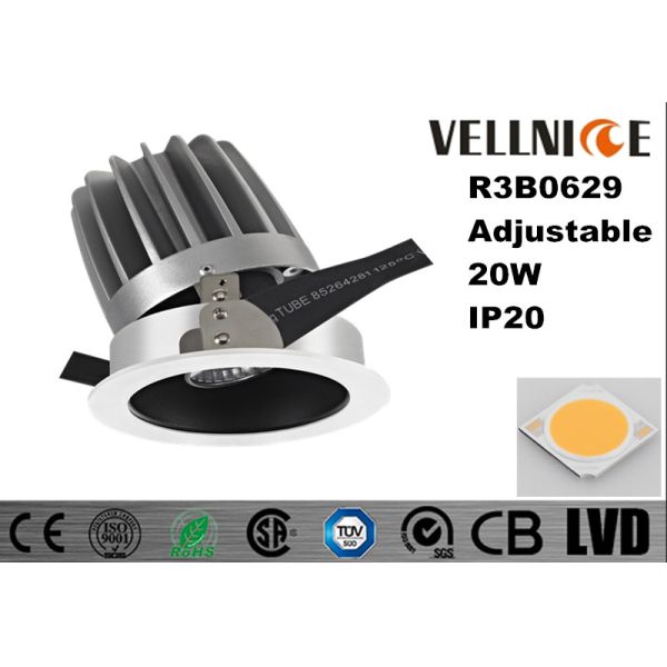 Adjustable High CRI Aluminum 20W 3000K COB Tiltable Cut Out 110mm LED Downlight/R3B0629