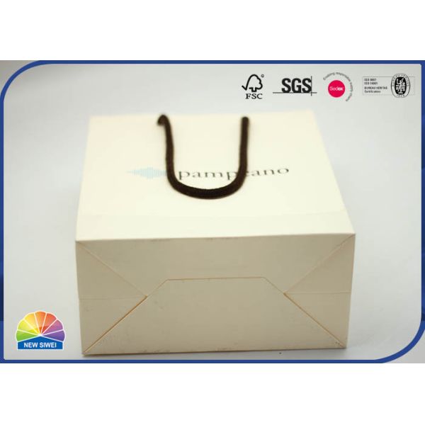 Customized 4C Printed Paper Gift Bag With Handle Eco Friendly