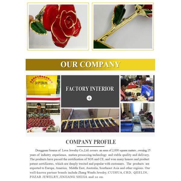 Hot Sale Gold Dipped Real Rose Flower 24k Gold Rose Flower for Graduation and Mother's Day Gifts