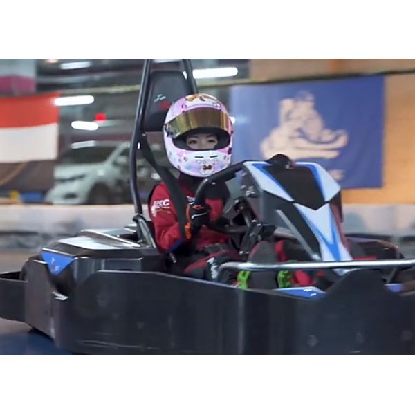 быстрые электрические 14Nm идут Kart для взрослых