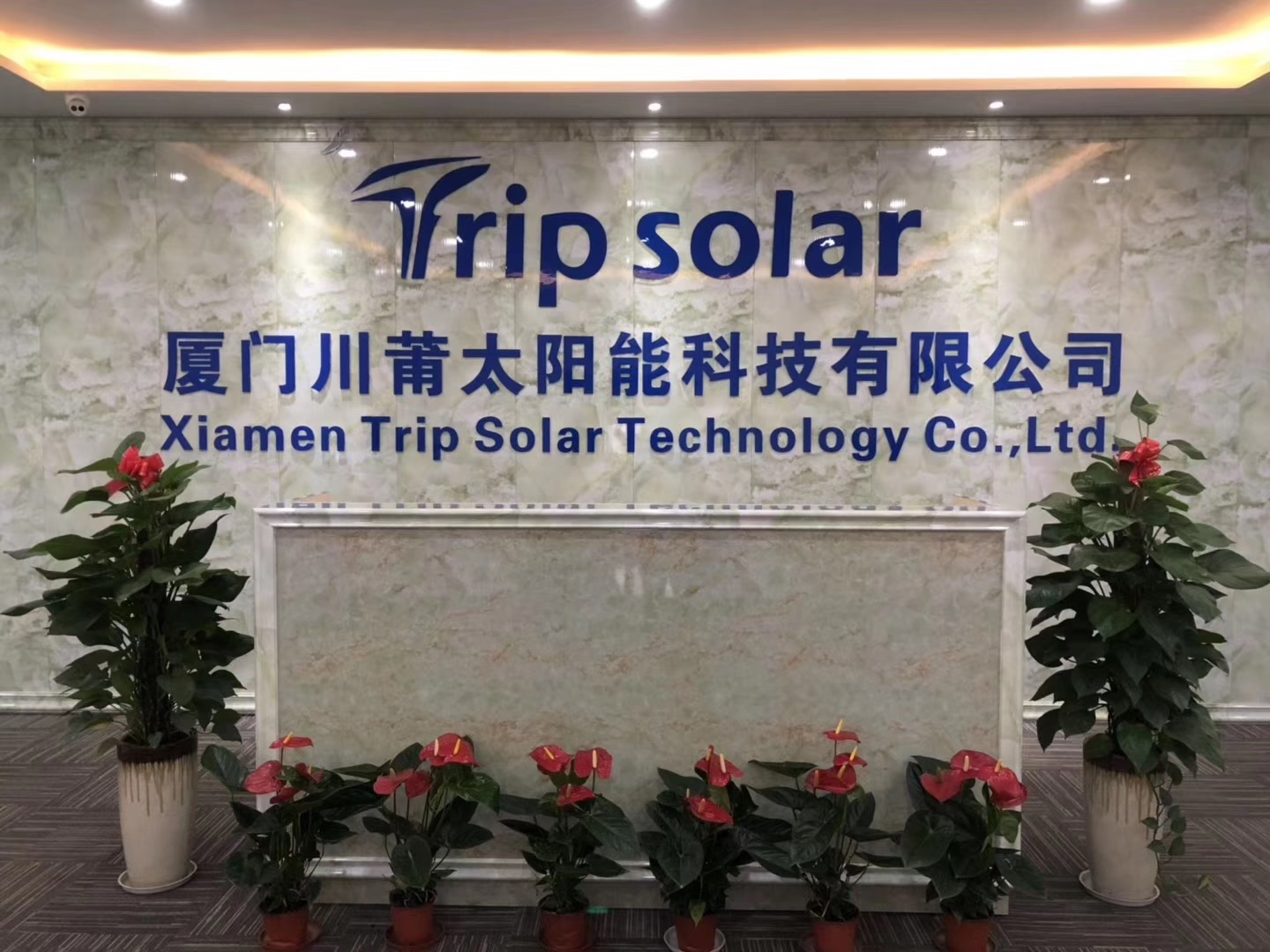 Установка солнечных панелей из натурального серебра