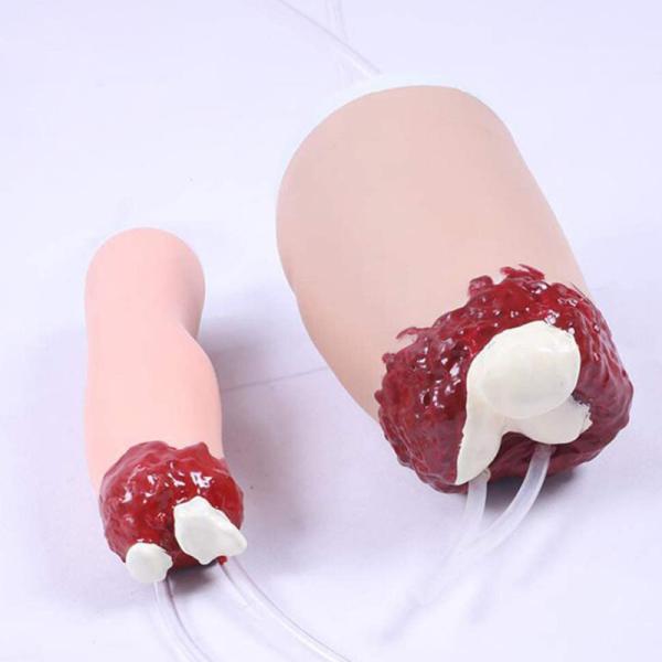 Upper Limb Amputated Trauma Hemostasis Medical Training Model For Surgical Education