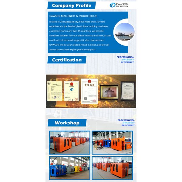 HDPE Jerry Can Blow Molding Machine de 10L 270KN 8.3T