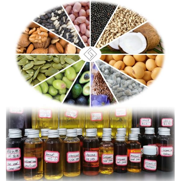 Compact And Portable Cotton Seed Oil Press Machine Easy Transportation