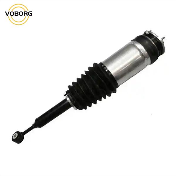 Direct Wholesale Good Quality 1027461-00-G 1027461-00-E Auto System Air Suspension Shock Absorber