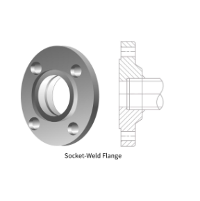 ASME ANSI DIN BS EN Steel Stainless Steel Dupelx Steel Carbon Steel Flange