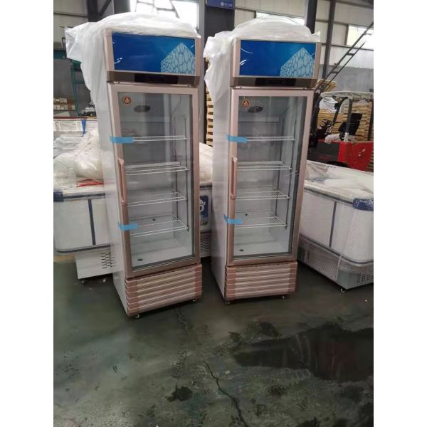 Hot Sale Vertical Single Glass Door Beer Display Cooler Beverage Refrigeration Display Cheap Price