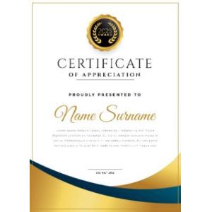 Beijing Global Dowin Technology CO.,LTD Сертификации