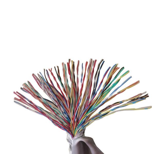 1 2 3 4 6 8 12 24 48 Pairs CW1308 Color Ring Telephone Cable with Al/Foil Shielding