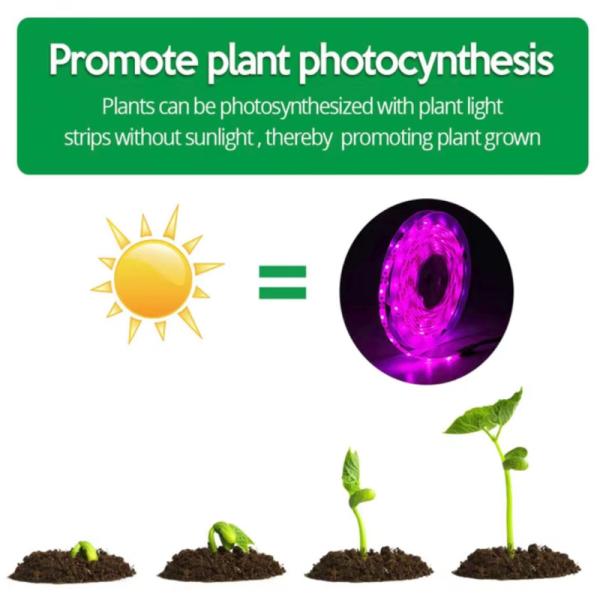 Full Spectrum Plant Strips Indoor Waterproof Lighting LED Grow Light Strips