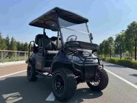 48V / 72V ESP Street Legal Golf Cart with NAVITAS Motor and controller