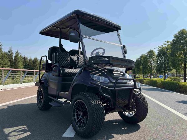 48V / 72V ESP Street Legal Golf Cart com motor e controlador NAVITAS