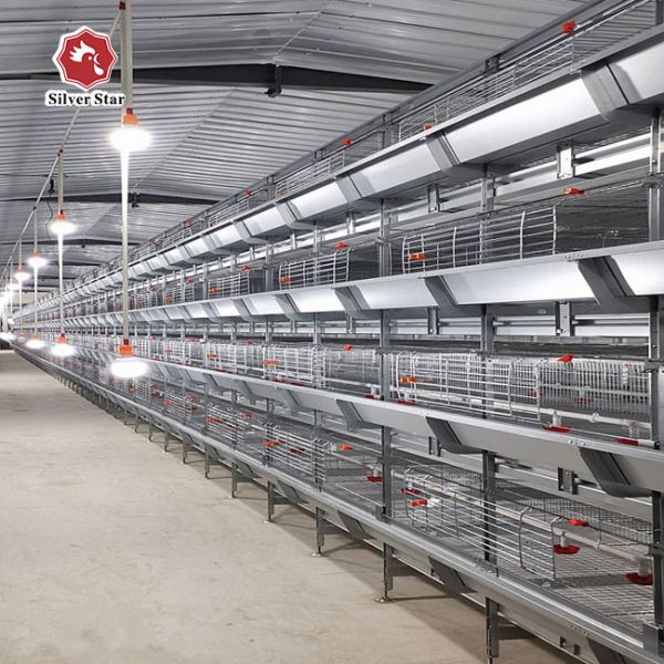 Птицы клетки 136 бройлера цыпленка мяса ярусов рамки 4 h