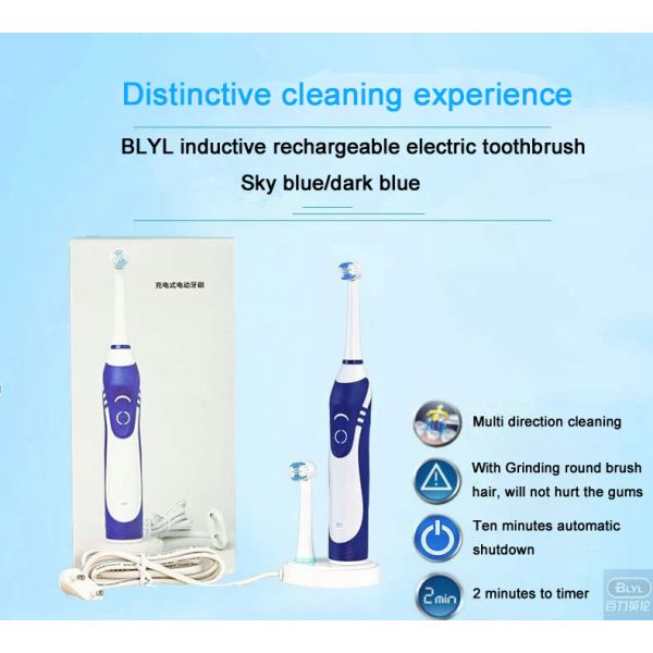 IPX7 Waterproof 110v-220v Rechargeable Rotation Type Electric Toothbrush Charging Teeth Tooth Brush for Kid Adult