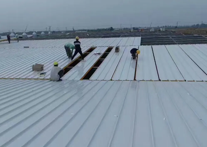 Система облицовки стен и крыш Экономическая EPS/PU/PIR сэндвич-панель для судоходной упаковки