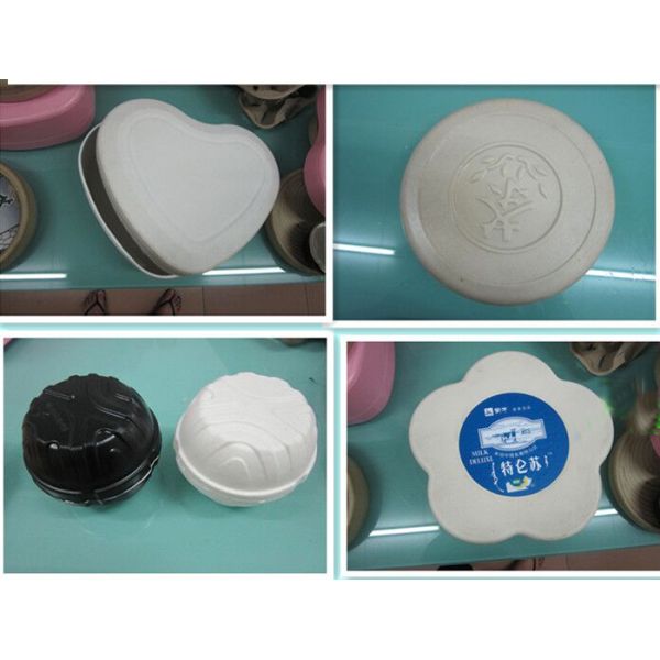 La celulosa amistosa de Environmently- moldeó el empaquetado industrial/del arte