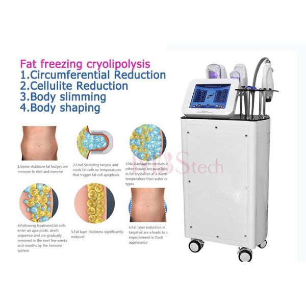 Corps de perte de poids de Rohs de la CE EMShapeant la machine de Cryolipolysis