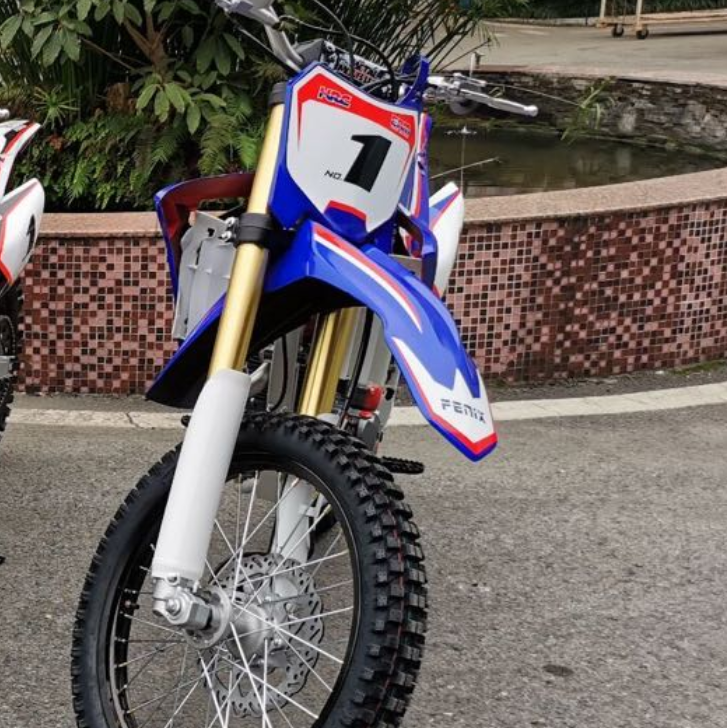 Classic 250cc Electric Enduro Motorcycle For Adults 120Km/H Customizable