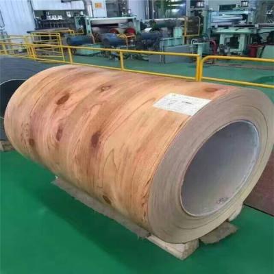wooden ppgi/PPGL/GI/sheet zinc/GL/color coated roof tile to export