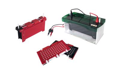 Automated Western Blot System With The Color Marking On The Splint Jy-zy7