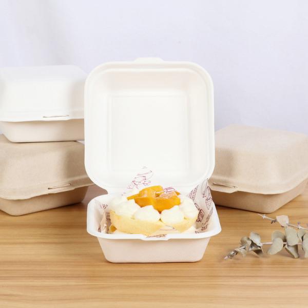 Recipientes de alimento de empacotamento Bento Box Takeaway descartável da preparação da refeição do bolo do Hamburger do fruto