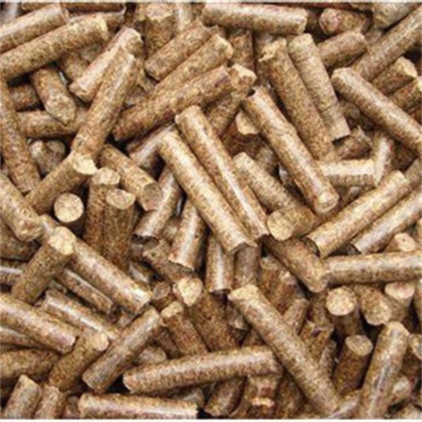 Fabricante elétrico pequeno da pelota da galinha da máquina SKJ 250 da extrusora da alimentação dos peixes de 400KG/H