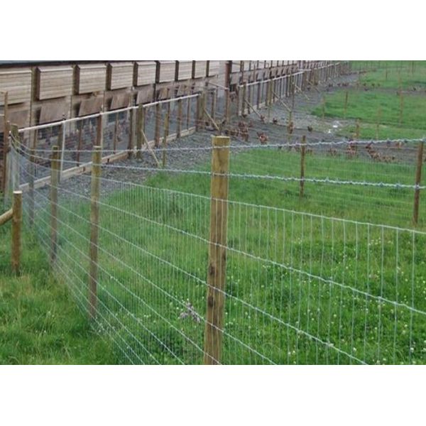 Australia Grassland Farm Mesh Fencing For Cattle Ranch , Rectangle Hole Shape