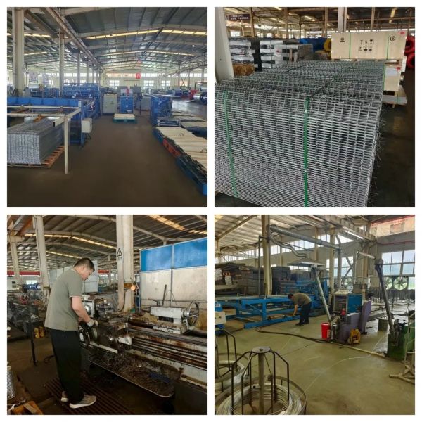 High Quality Full Automatic Poultry House Machinery with Corrosion Resistant Hot Dip Galvanised Steel and Automatic Feeding System