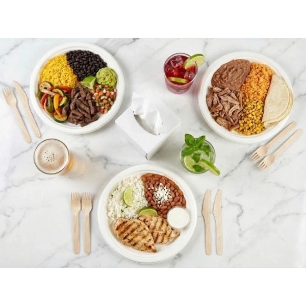 Commercial Disposable Bagasse Sugarcane Pulp Plates Tableware 9 Inch PFAS Free
