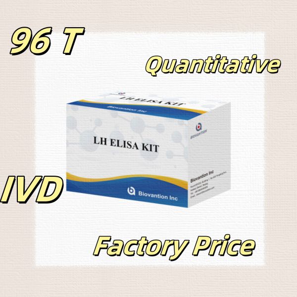 Biovantion ELISA Test Kit for diagnosis Human Luteinizing Hormone LH (Quantitative) hormones detect