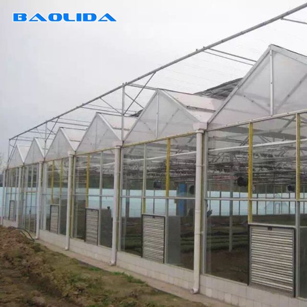 Парника поликарбоната фильма земледелия покрытие железного каркаса квадрата ясного прозрачное