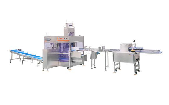 ZD1800-FK Automatic Bagging Machine