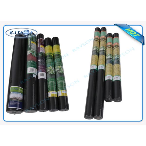 Biodegradable Non Woven Landscape Fabric Roll Packing for Garden Plant Protection