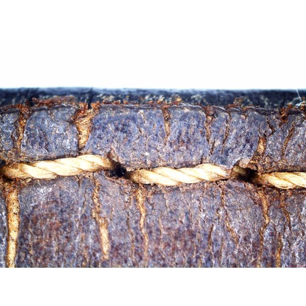 Polarizer Plug and Play Pc Camera Microscope 110mm Usb Microscope Camera