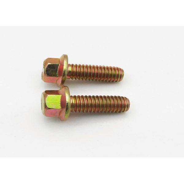 4.8/8.8/10.9 Grade Carbon Steel Flange Bolt Carton Packing Din 6921