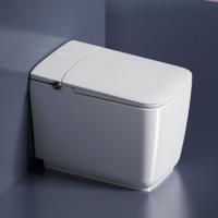 Des toilettes intelligentes modernes pour une expérience de salle de bains confortable et de haute technologie