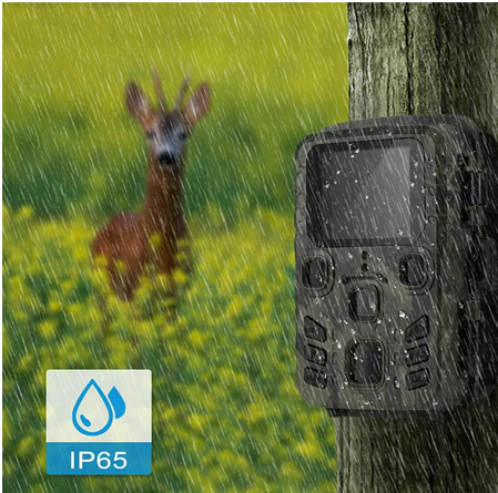 Mini Trail Camera Outdoor Hunting infrarrojo 4K HD 20MP 1080p