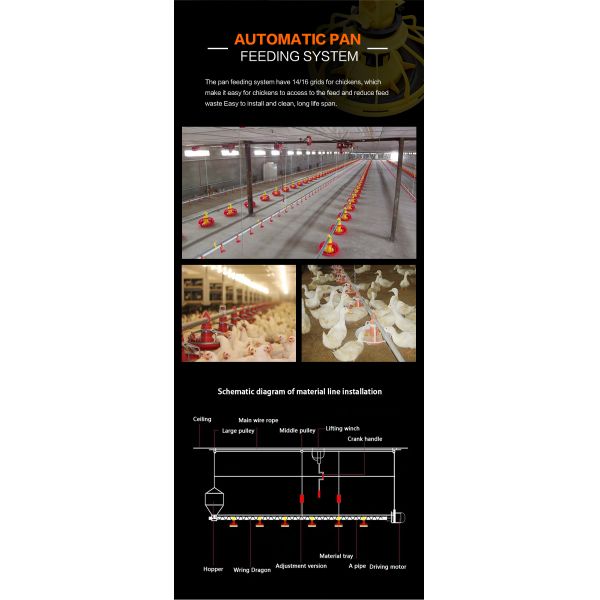 Автоматическая система поддона для кормления Кормушки для животных черный солдат летать сельскохозяйственное оборудование