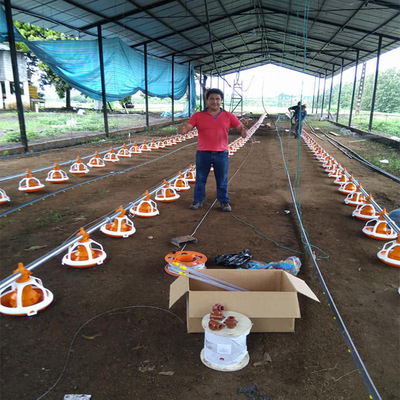 Adjustable Poultry Feeding and Drinking System Chicken Feeder and Drinker for