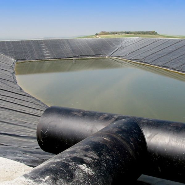 Composite Geomembrane Fish Tank Lining Geomembrane Pond Liner customizable Length