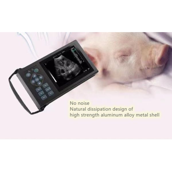 B Veterinary Ultrasound Canine Horse Pigs Scare Pregnancy Animals Mobile Device Vet Digital Handheld Veterinary Ultrasound