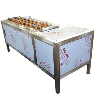 1500kg/H Vegetable Peeling Machine