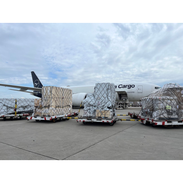 Safety International Air Cargo Shipping DHL Door To Door Delivery Logistics
