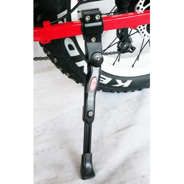 1000W 48V 21AH 7 Speed Disc Brake 20